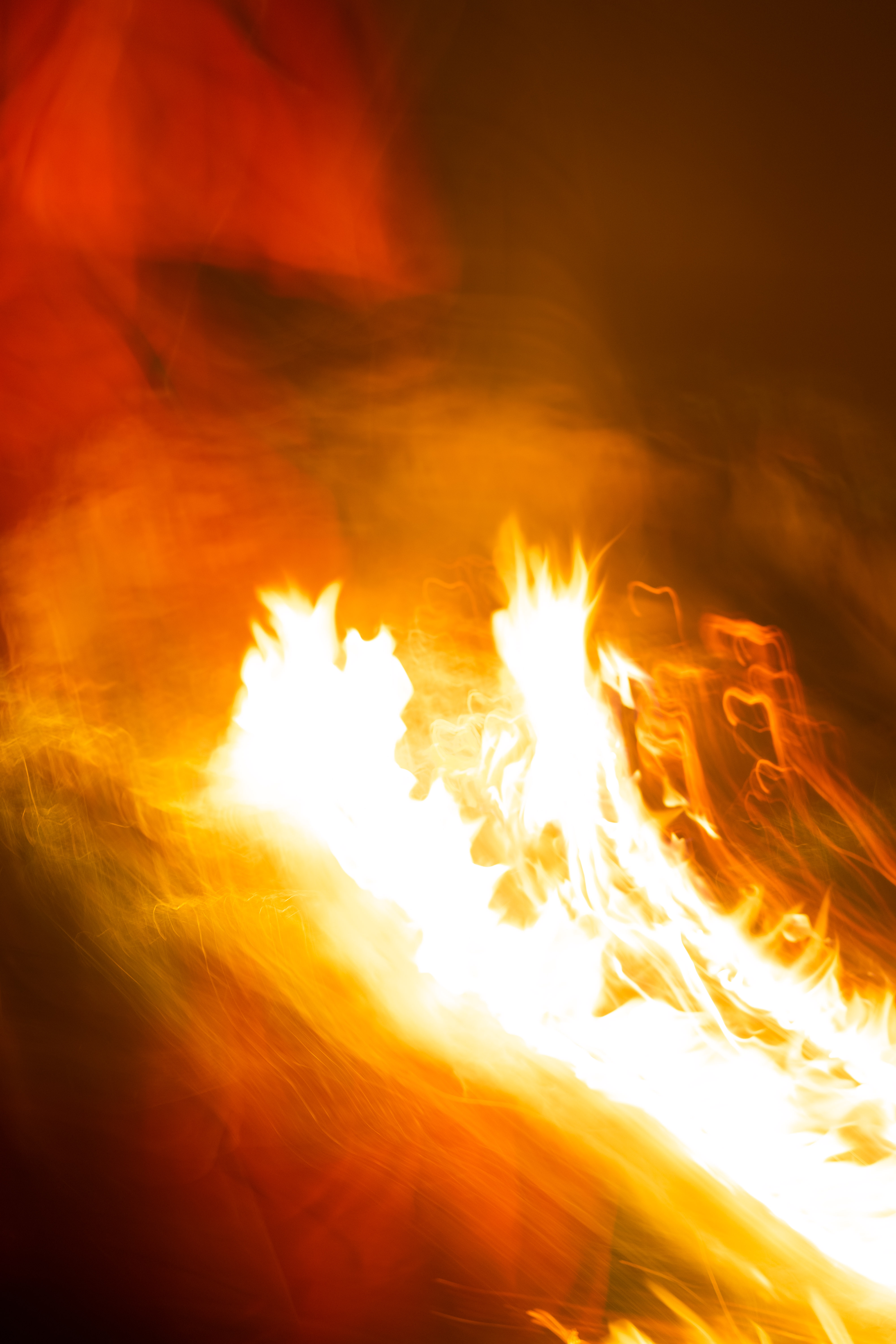 fotografiert von Sophie Eckhart
